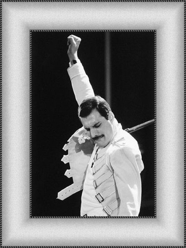 FREDDY MERCURY